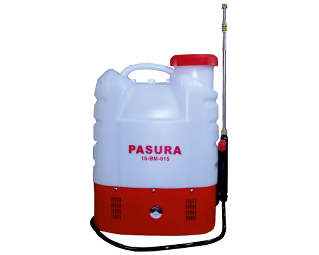 Pasura